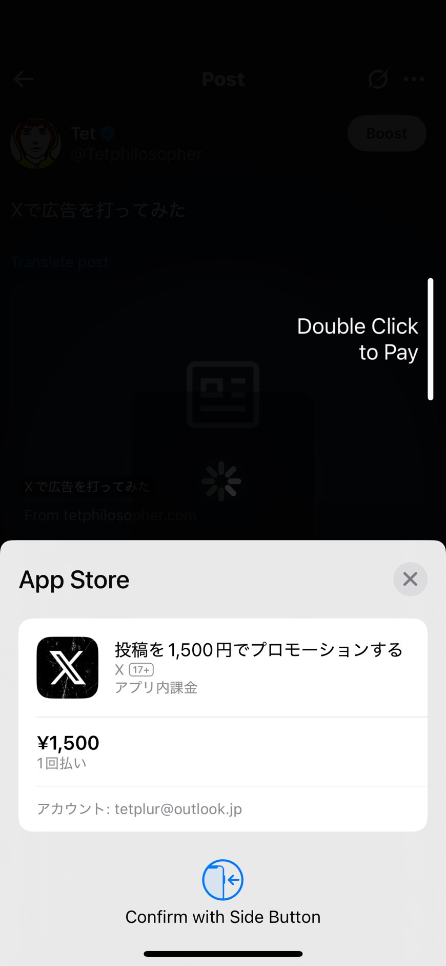アプリストアでプロモーションの支払いを確認する画面